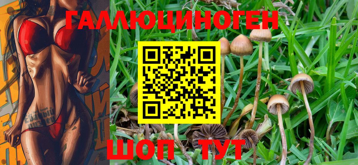 Галлюциногенные грибы Cubensis  Вход с VPN  Галлюциногенные грибы Magic Shrooms  Кимовск 